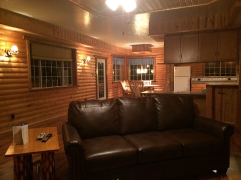 Living Room Open to Kitchen