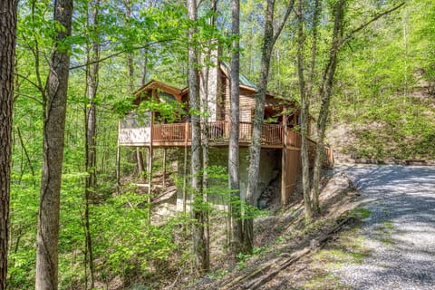 Pigeon Forge Cabin Rental - Deer to Dream