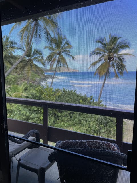 View from Living Room