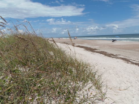 13 miles, uncommerical beach loaded/w seashells, sharks teeth, 50 footsteps away