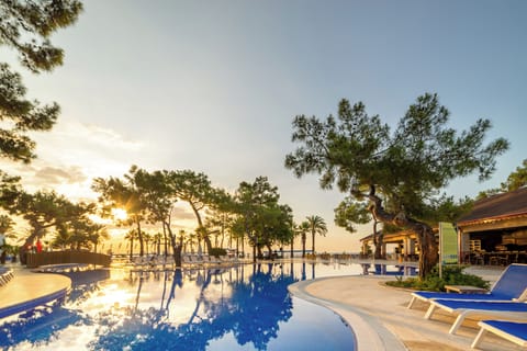 Seasonal outdoor pool, pool umbrellas, sun loungers