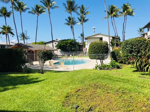 Heated swimming pool with beautiful palm trees in the background.
