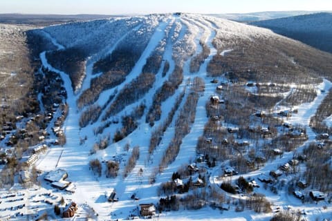 Timberline Mountain - skiing, snowboarding, ski lodge. 10 minute drive from the resort 