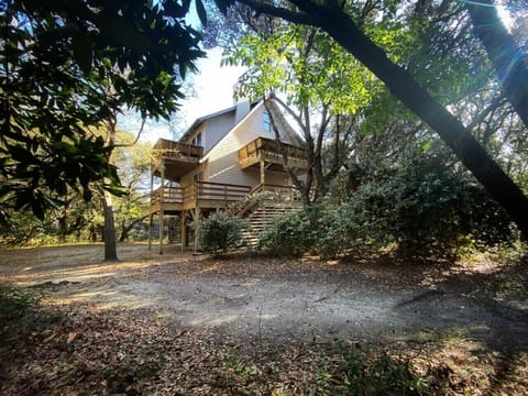 Secluded cottage among the trees