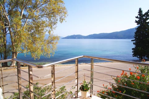 view from the balcony
