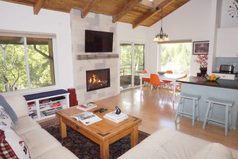 Main Living Area