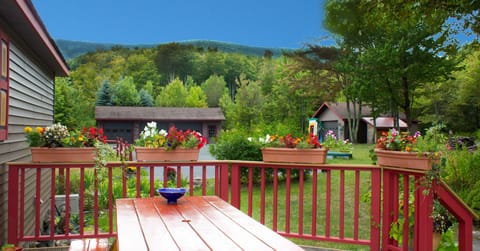 View of mountain ridge from the deck
