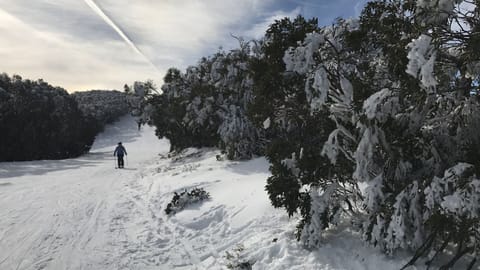 Mt Buller