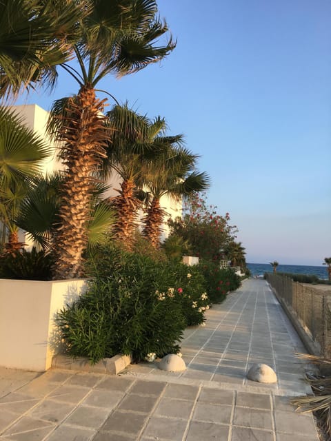 Walk to the Beach
