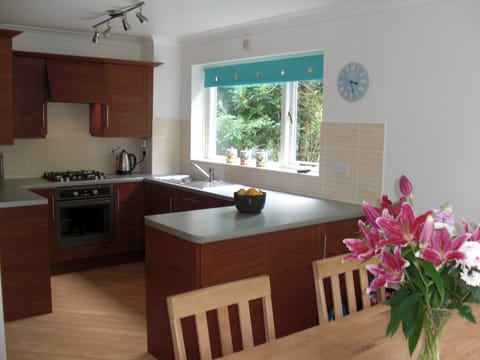 Kitchen with dishwasher, hob, oven, microwave, toaster etc.