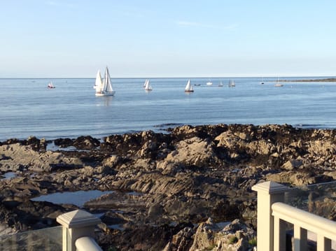 Again photo taken from our decking on a regatta day.