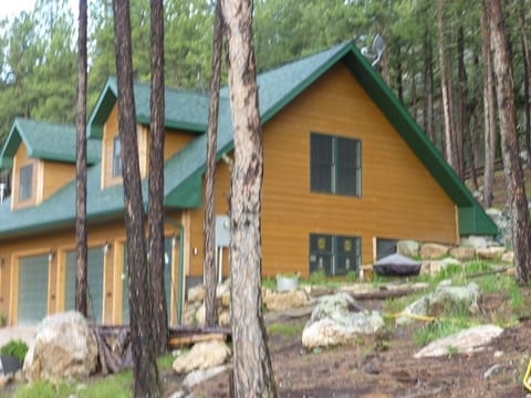 Side area with picnic table and grills