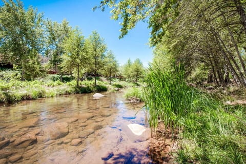 Beautiful Creek in the back yard! Completely gated from yard so safe for kids!