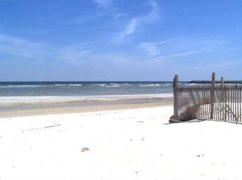 Beach View