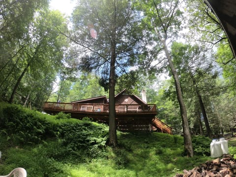 View from the fire pit