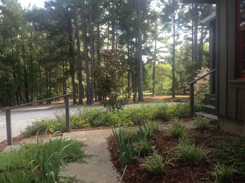 View of driveway and front yard