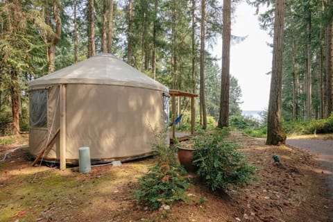 Nice profile shot of the Yurt