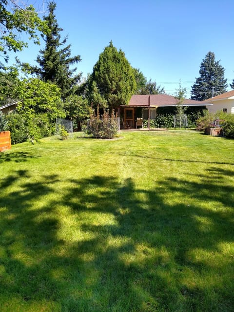 Cottage front yard in summer,,,not fenced.