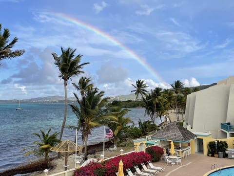 What a great view!  Ocean, pool, and Christiansted!