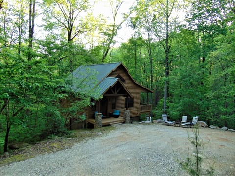 Living in the Trees with Multiple Deck Views