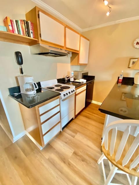 Great galley kitchen with black galaxy counters. Note, counters are oversized. 