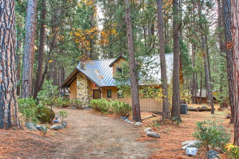 Front of cabin