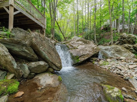 Creek and Waterfall