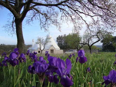 TrulliVistas - 3-Cone Trulli with two lamia. 2 bedrooms, 2 bathrms, private pool