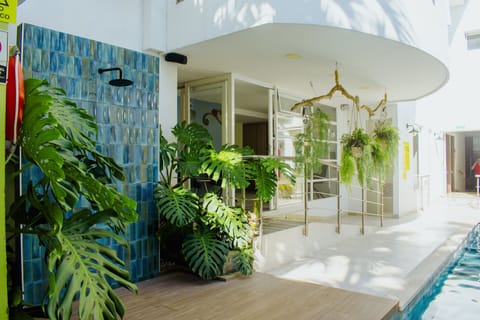 Outdoor pool, open 8:00 AM to 7:00 PM, sun loungers