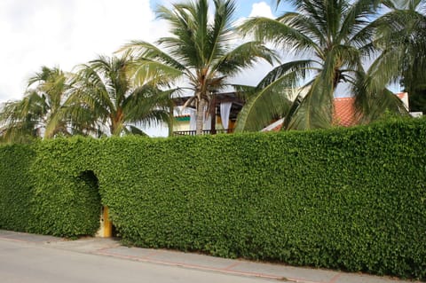 The Palm Beach Fortress, surrounded by 12ft high natural foliage 
