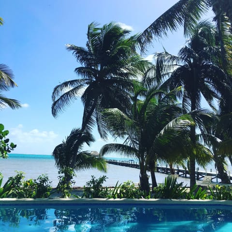 The view from our pool!  
AMAZING!