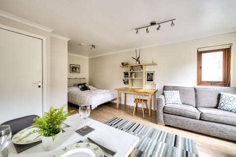 Apartment | 1 bedroom, desk, laptop workspace, iron/ironing board