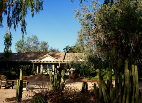 Backyard of Rancho Del Vinedos