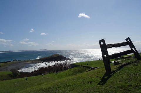 Delightful Crescent Head!