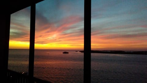 Panoramic Beachfront 2 Bdrm 2 Bath Luxury 8th Floor Condo! At Resort.