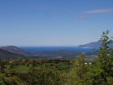 Overview