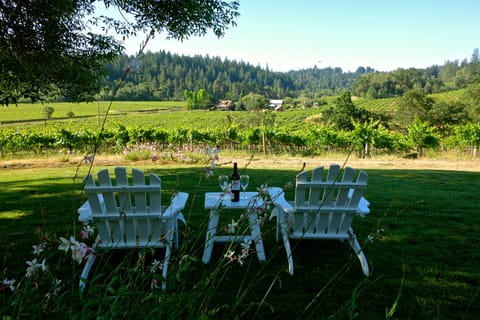 Welcome to Home in the Vineyard!