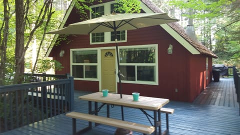 Cute cabin in the woods