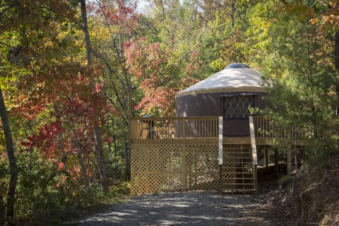 Woodland mountain setting
