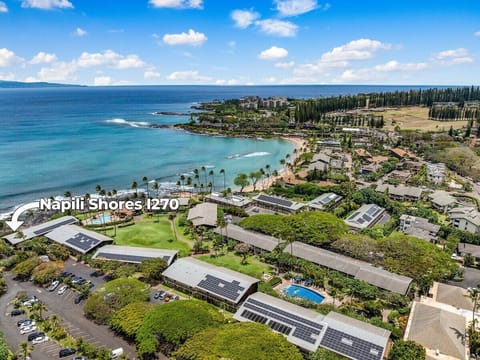 Resort-style living with oceanfront access, pool, tennis, and lush tropical grounds.