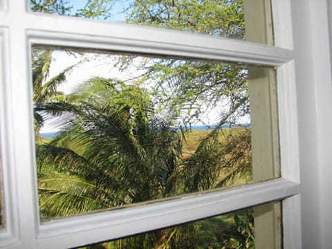 Master Bedroom Window View