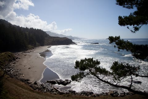 The Cove Beach view