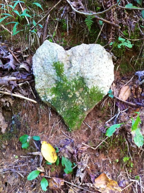 Find the heart rock and get an additional night for free!
