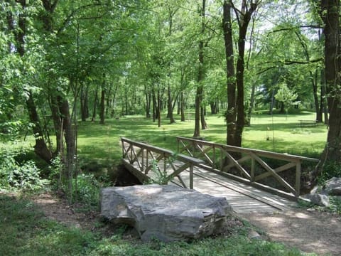 Walking path to our campgrounds