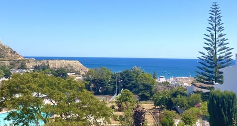 View from the terraces