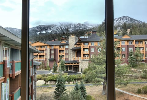 2BR/2BA Two king Beds, premium views