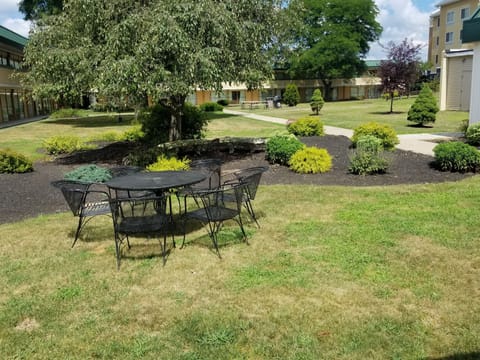 Courtyard view