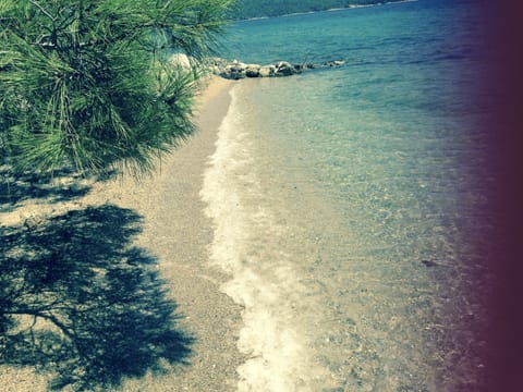 Free beach shuttle, sun loungers, beach umbrellas, kayaking