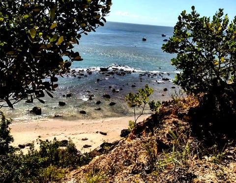 Beach/ocean view