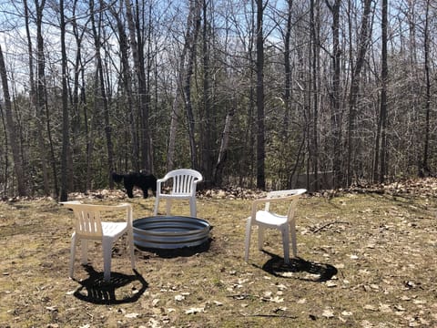 Fire pit in the back yard